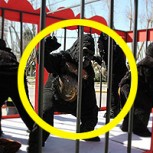 Denunciaron a un circo por “maltrato animal”: Eran peluches y actores disfrazados