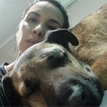 Perro salvó la vida de tres niños enfrentando a una serpiente venenosa y se negaban a darle antídoto