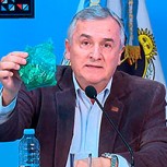Gobierno provincial argentino anuncia polémica medida: Distribuirán gratuitamente hojas de coca