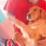 Una perra fue atendida por una curandera para quitarle el “empacho”