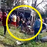 Camión con cerdos fue saqueado por decenas de personas luego de volcar en la carretera