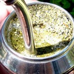 El Mate: El comienzo de la industria y su llegada a Chile