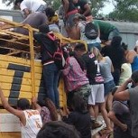 Pobladores se aprovechan del choque de un camión de ganado para robar animales