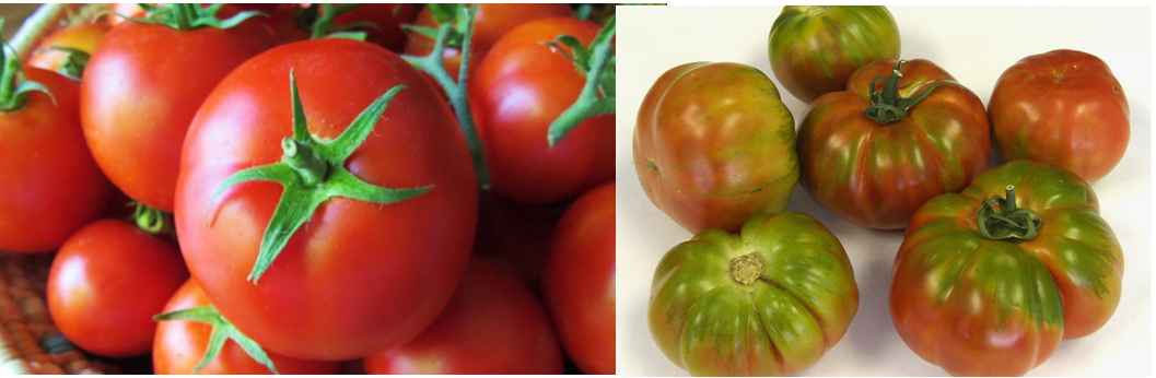 tomate(2)