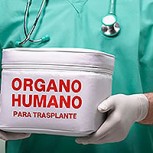 ¿Mercado legal de órganos humanos para trasplantes? Propuesta generó dura controversia en Argentina