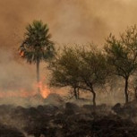 Incendios forestales acechan a Argentina: Alarmantes imágenes satelitales