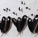 Un homenaje a la naturaleza: Dioramas hechos con plumas de aves