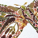 Helen Ahpornsiri y sus delicadas obras a partir de hojas de helecho