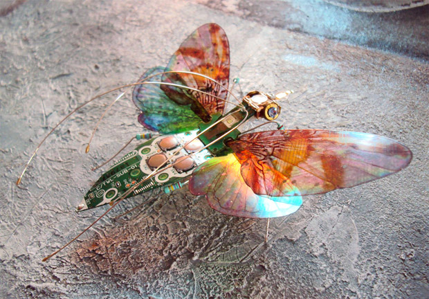 mariposas-2