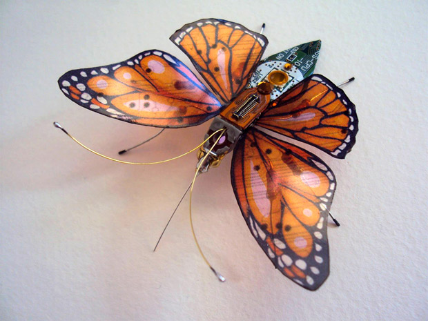 mariposas-3