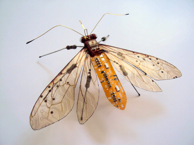 mariposas-6