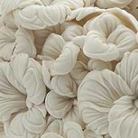 Las hojas de las plantas inspiran a Hitomi Hosono para crear sus esculturas en porcelana