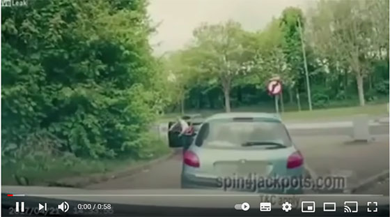 mma-paliza