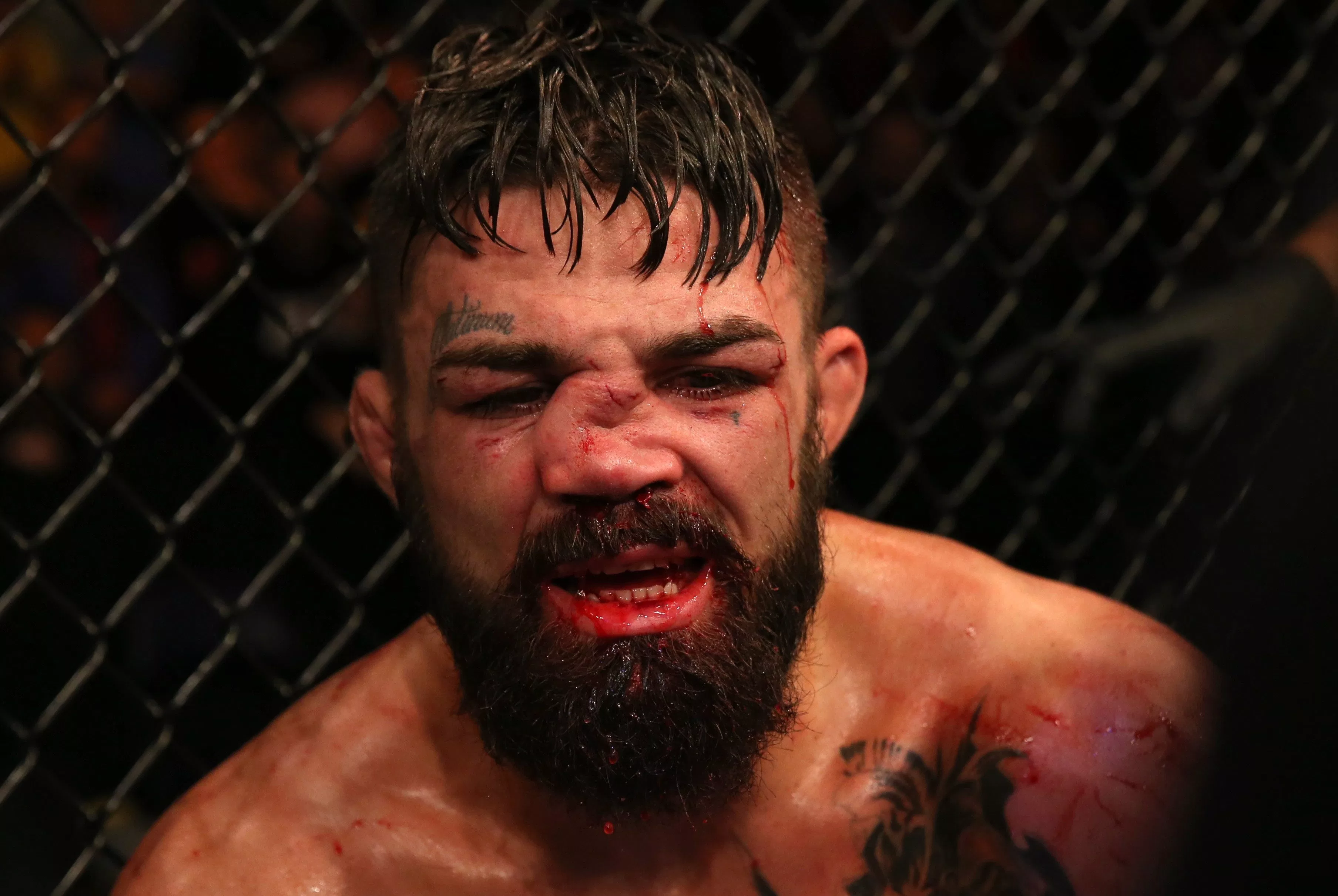 mike perry