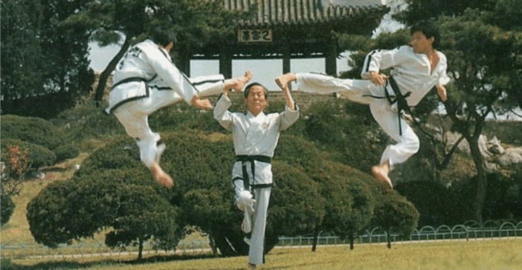 General Choi Hong Hi Taekwondo moderno 2