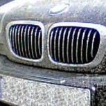 El peligro de los insectos para los autos: ¿Cómo enfrentarlo?