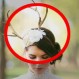 Los 10 accesorios de novias más ridículos: Insólitas “ideas”