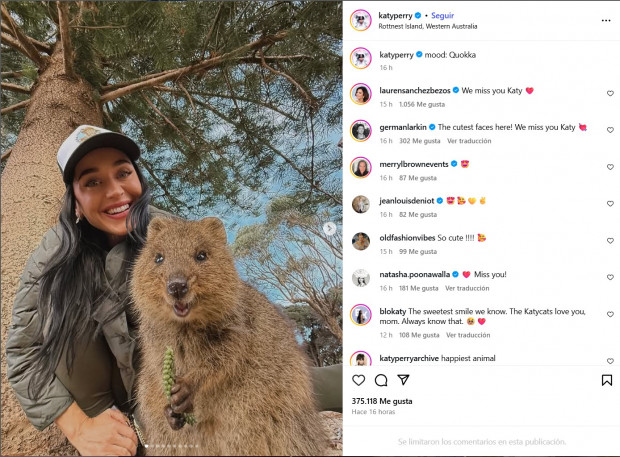 While Orlando Bloom had fun in Venice with Kim Kardashian, Katy Perry relaxed posing with a quokka / www.instagram.com/katyperry