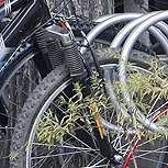 Estacionamientos para bicicletas: ¡Necesidad urgente!