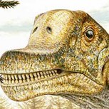 Descubren dinosaurio de gran tamaño en Chile, el más austral de Sudamérica