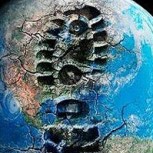 Científicos advierten consternados: Vivimos “los primeros días de la sexta extinción masiva de la Tierra”