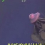 Video: Captan a una misteriosa medusa gigante en las profundidades del mar