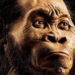 Homo naledi: Encuentran en Sudáfrica restos de una nueva especie humana