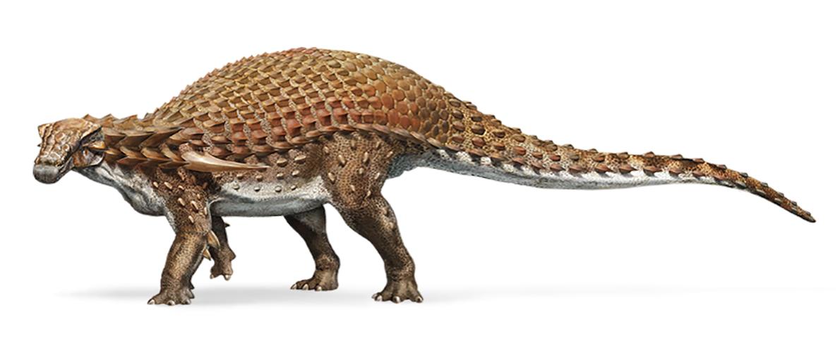 Foto: Representación artística de un nodosaurio. /biobiochile.cl