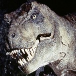 Rugido del Tiranosaurio Rex sería más aterrador que el de las películas según documental