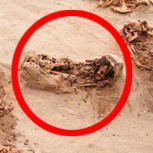 Descubren en Perú el mayor sacrificio masivo de niños de la historia: Salvaje ritual para extraerles el corazón