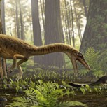 Descubren en Brasil al “tatarabuelo” del Tiranosaurio Rex: Te sorprenderán sus características