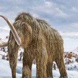 Revivir a los mamuts: El ambicioso sueño de un grupo de científicos de Harvard