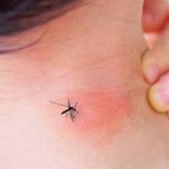 Científicos advierten que mosquitos dieron positivo por encefalitis equina oriental: Un virus que puede ser mortal
