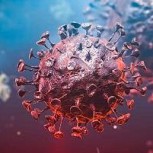Exposición a otros coronavirus generaría anticuerpos que protegen del Covid-19 según reciente estudio científico