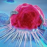 Investigación médica busca detectar más de 50 tipos de cáncer solo con analizar una muestra de sangre