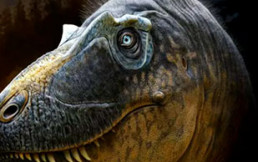 Descubren nueva especie de Tiranosaurio que sería antepasado del famoso “T-Rex”