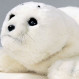“Paro”: La foca robot con inteligencia artificial que ayuda a personas con Alzheimer