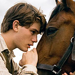 Caballo de Guerra, ¿puede Spielberg superarse a sí mismo?