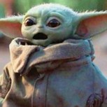 “Baby Yoda” sigue controlando la fuerza: Mira los mejores memes del gran personaje de “The Mandalorian”