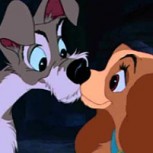 Llega nueva versión de “La Dama y el Vagabundo”: Así es la escena de los espaguetis con perros “reales”