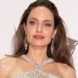 Angelina Jolie realiza su foto más arriesgada: Posó cubierta de abejas