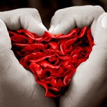 ¿Cómo demostrar el amor en San Valentín?: Algunas claves para lograrlo