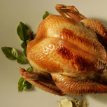 ¿Cómo asar el mejor y más delicioso pavo?