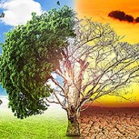 David Attenborough, reconocido defensor de la naturaleza, alerta sobre cambio climático: El futuro será “catastrófico”