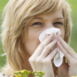 La “maldita primavera”: 10 términos muy chilenos que reflejan lo que algunos padecen por estos días