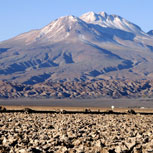 Quake Alert y nuevo acierto: Sismo de 5,8 al norte de Chile