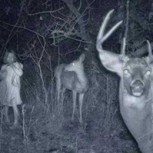Los terroríficos secretos que esconde un bosque de noche: Estas fotos los revelan