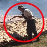Uruguay organiza la parrillada de pollo más grande del mundo: 6 toneladas