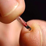 Implantes masivos de chips en las personas en Estados Unidos: ¿En que año comienza su aplicación?