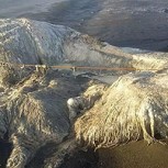 Extraña criatura de 6 metros tiene aterrorizados a lugareños que la asocian a un “desastre inminente”